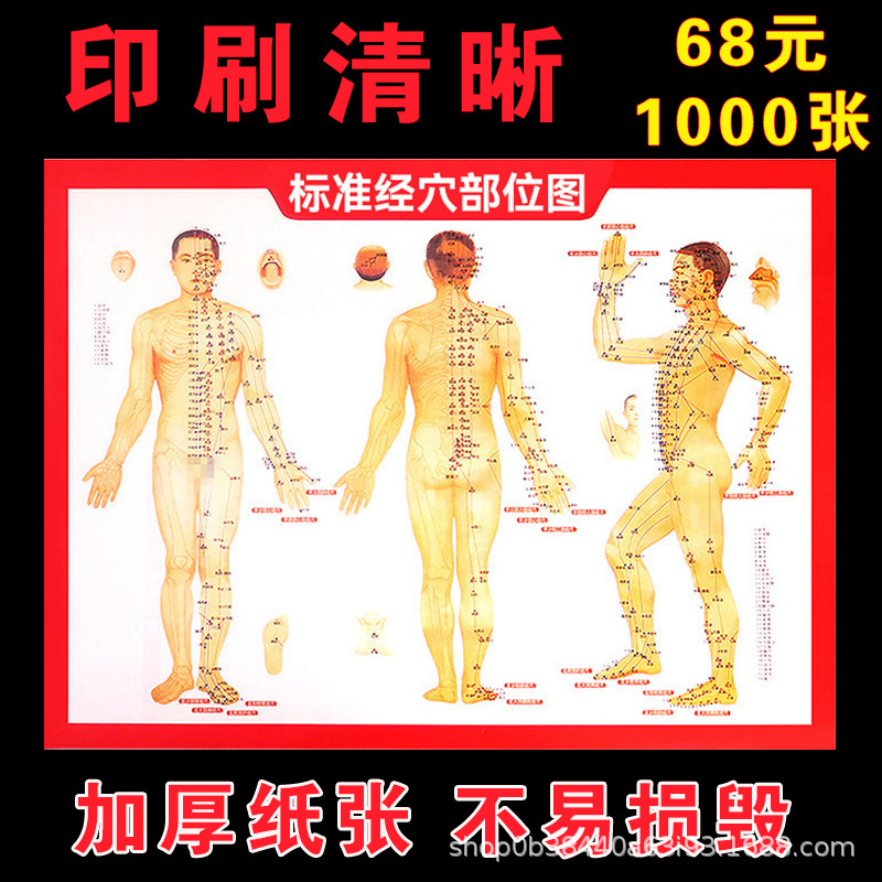 Acupoint map Human body moxibustion Meridian map HD Whole body moxibustion Scraping Massage Acupuncture Acupoint moxibustion map