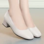 女士春秋空姐通勤女鞋