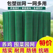 包塑防锈铁丝网批发荷兰网养鸡养殖网防鼠猫阳台菜园高速路护栏网