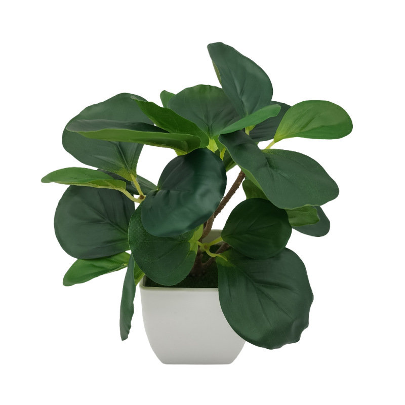 Flor Artificial hoja de la ceja Hoja de sandía flor artificial hoja de frijol verde planta maceta sala de estar decoración del hogar Decoración maceta Decoración image 3