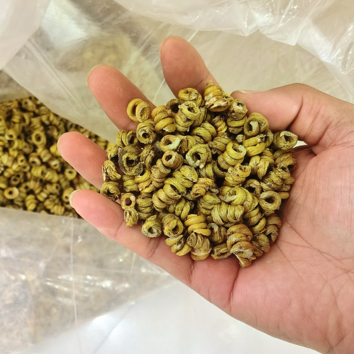 Huo Shan Tie Pi Shi Hu Dendrobium Fengdou 500g Five Year Huoshan Origin Culinary Herb key features