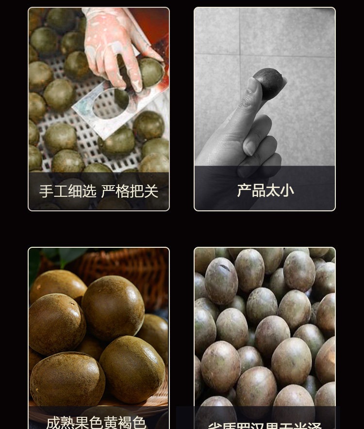 Luo Han Guo Monk Fruit Tea 5 Large Fruits 53-57mm Individually Wrapped Guangxi Herbal Tea specifications
