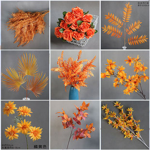 ��ɫ���滨��c��ˇ��ɫ������Y���b���·�����Ź��T������