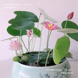 ���B�ļ���ˮ�ɻ��߲ʷǳ�ˮ��63�_��˯ɏ������ɏ�N�ӷN��