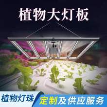 �羳led��צ�~ֲ�����L��0-10V�{����Nֲ������ֲ���a��ֲ���