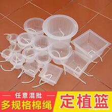 �羳���K�S��ֱ�N�߲�ӆُ�m����ˮ�ඨֲ�@�f��ֲ��̸���