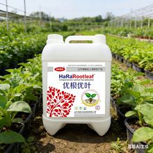 �S�ҹ����������~ͨ��Һ�w����ֳ�������ʴ��L�I�B��ˮ��ֲ��