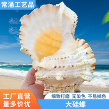 �¿�ľ�з���Ú���Q����ؐ�~�������ؐ���~��ˮ���b�Ʒ�[��