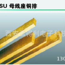 上海雷普SU母线座铜排30X10 电镀 品牌授权
