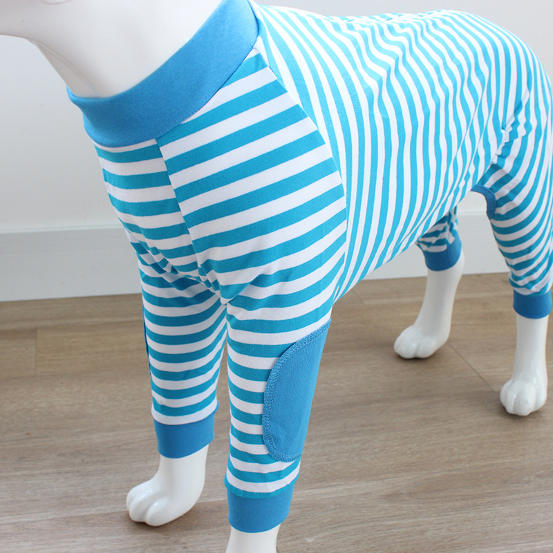 Petstyle Ȯ˯ ĽŴ ëĦ