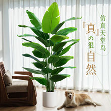 �����B����Gֲ�҃����Դ��ͷ���ֲ��٘��p�ݿ͏d��ؔ[�����˽�