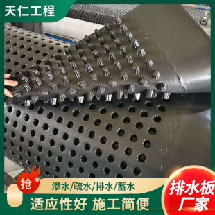 Manufacturer drainage board wholesale siphon system basement HDPE water filter board roof garden plastic drainage board