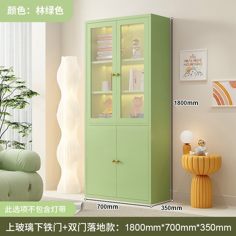 钢制书柜玻璃门防尘书架简约现代铁艺置物柜客厅储物柜家用展示柜|undefined