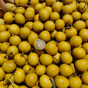 ���Ĵ�������̩�����r���� 220g~280g/��*3��