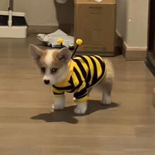 С�����·�����ů���С�۷��l����С��Ȯ؈���·��ﶬ����