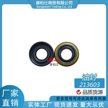 �F؛213603�ͷ�/�m�ÿ���˹����ȼ�Ͱl�әC������������l����