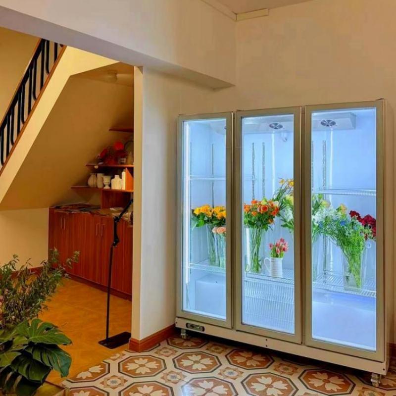 风冷双门三门花卉保鲜柜保湿无霜玻璃冷藏柜敞开式鲜花展示柜