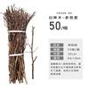 White birch tree rude wood rod landscape tree dead tree tree tree 杈 kindergarten DIY handmade material wall partition decoration