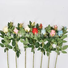 ���滨2�^��������õ���Y���bƵ�ҾӼٻ��[���͏d�������l