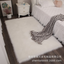 跨境定制厂家专供各种卧室毯客厅飘窗毯户外毯家用长毛绒地毯地垫