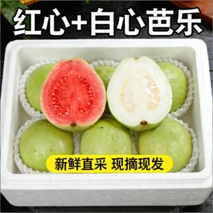 ���ڏV���t�����pƴ���ͰŘ�ܛ��ܛŴ���r��ʯ��Ӳ�����uʺ�����l