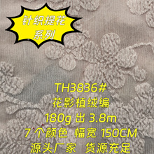 TH3836#7���ɫ180g��Ӱֲ�q��ᘿ��Ứ��������T���B��ȹŮ�b��