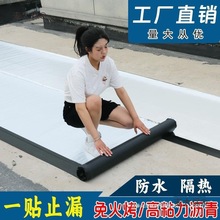 ճˮճëֲa©SBSr߸̫