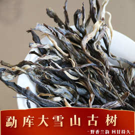 批发云南普洱茶2017年勐库大雪山生茶野香兰韵大雪山头春古树散茶