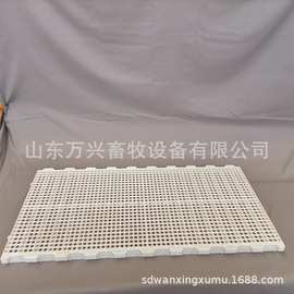 养鸡用塑料漏粪板鸡舍用禽用耐用图片、价格、型号