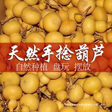 ?��Ȼ����С���J��������f�������ؔ���̖����J��ˇƷ��