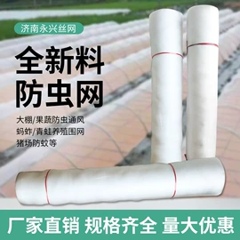 防虫网