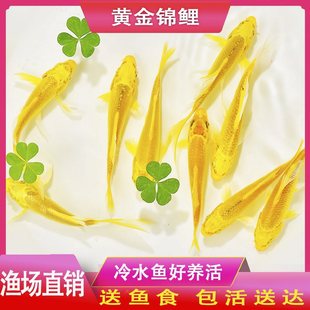 �^�p�~��ˮ�S���\���~���ͥ�^�p�~�ͻ���ˮ�S�����P�\�����~����