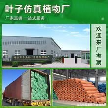 ��������������ƺ�|���؇����G���˹����ϵ�̺�ݷ���ٲ�Ƥ���l