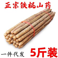 正宗铁棍山药新鲜5斤整箱农家自种蔬菜小白嘴粉糯垆土铁杆淮山药