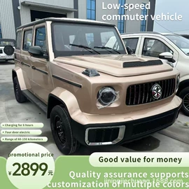 电动代步车;其他电动车;其他非机动车