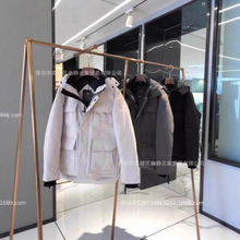 ZMaitlandRͬ26hŮʿLHɿ˴q