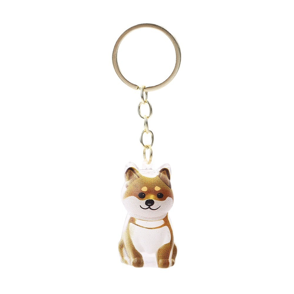 Cartoon Pet Storage Keychain Lovely Transparent Pet Memoria Keychain Pet Listing Keychain