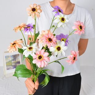 �L֦4�^̫ꖾջ�c��Ʒ·���廨��Y���bٻ� �̈��b��r��