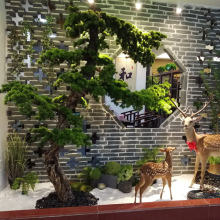 ֲbӭ°ؼҾӾƵʽLľ٘Gֲ