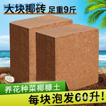 pyҬ�u�I�B���N��ͨ����Ó�}Ҭ����KҮ�u�����������B�������N��