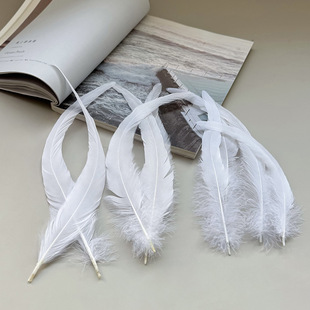 ��β��ë�S��Ư��ɫ���uβ��ë���b��ˇƷ20-40cm�L�ߴ���ë���l