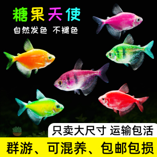 6BVQ��ʹ�~�^�p�~���~���~С�Ͱ��R�~��ˮ�Ꭷ�~���B�ͻ��߲��~��