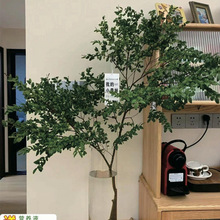 ИMڵRƽ҃ȾGֲϘ젝ˮinsWtļֵ