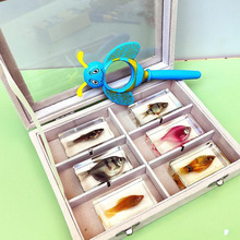 �挍������˱����~�Ǟ������r���\С���r�ľ�з�з�����~������