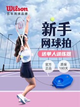 Wlson�W���� �����d���W��̼��Ů��W�����˾W��؏�Ӗ�������b��