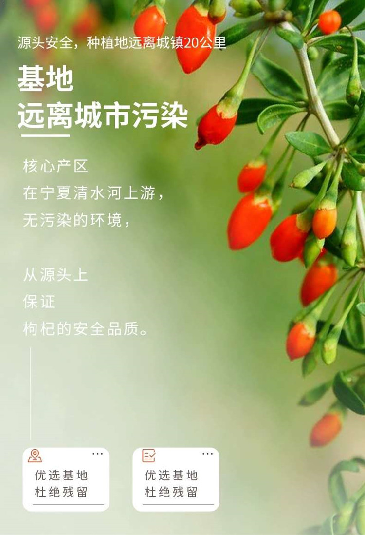 Goji Berry (Lycium barbarum) — Premium Ningxia Red Goji, Sulfur-Free Dried Fruit for Tea & Cooking overview