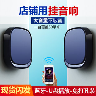 Smart wireless wall speakers for commercial use, megaphone, new collection, bluetooth