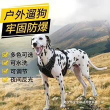 �����������ݠ�������ȫ����s��������߅����ţҹ�з��������ر�