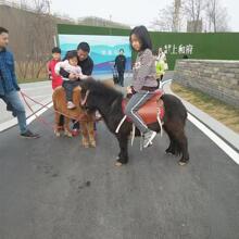 ��ͯ�T�˰��_�R�����а��R�Bֳ���س��۴�С�Z�����R�߃r����