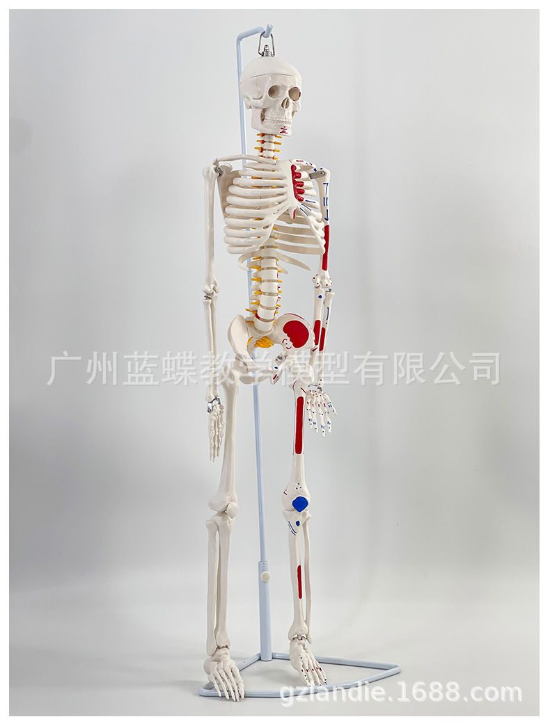 详情_13
